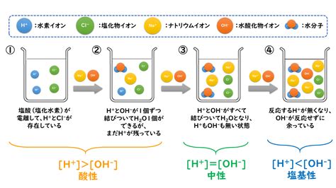 中和作用